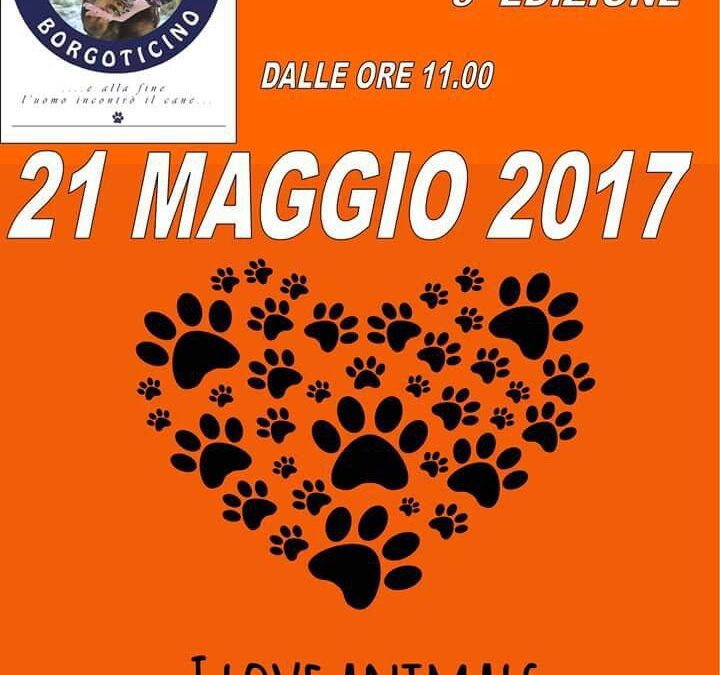 Open Day Canile Sanitario Borgo Ticino: 21 maggio 2017